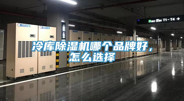 冷庫除濕機哪個品牌好，怎么選擇