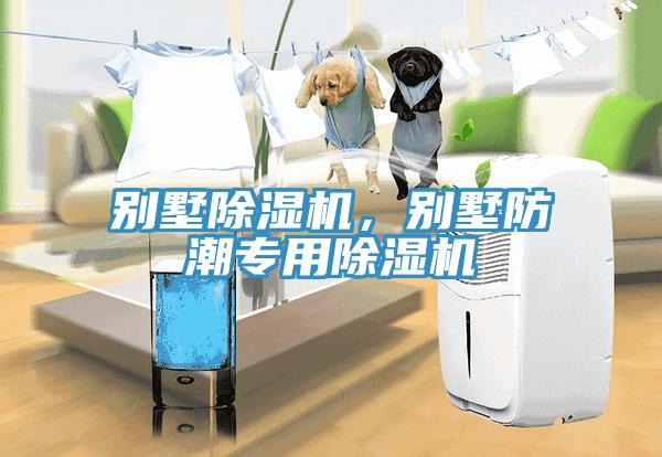 別墅除濕機(jī)，別墅防潮專(zhuān)用除濕機(jī)