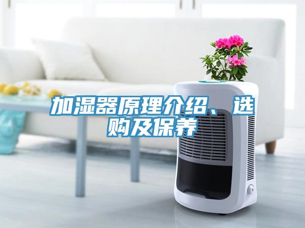 加濕器原理介紹、選購及保養(yǎng)