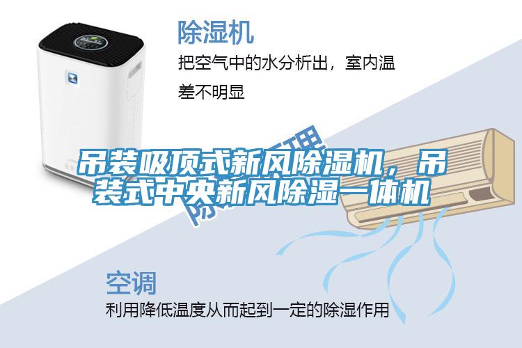 吊裝吸頂式新風(fēng)除濕機，吊裝式中央新風(fēng)除濕一體機