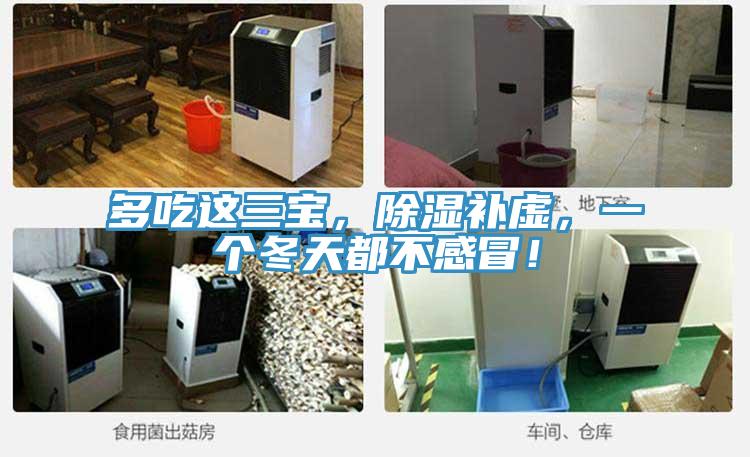 多吃這三寶，除濕補虛，一個冬天都不感冒！