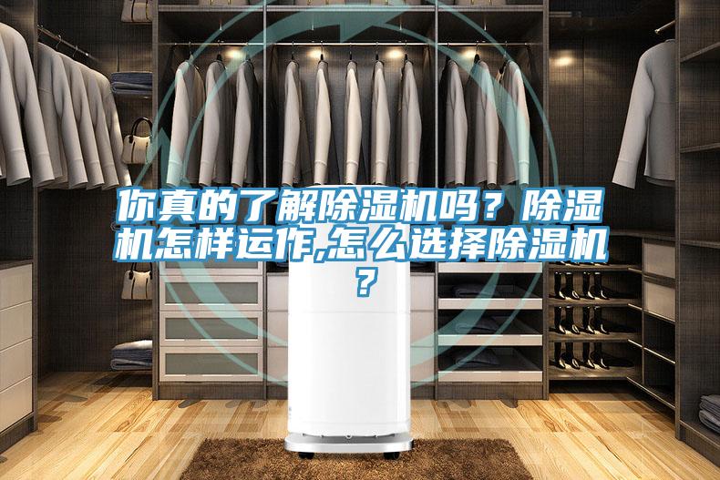 你真的了解除濕機嗎？除濕機怎樣運作,怎么選擇除濕機？