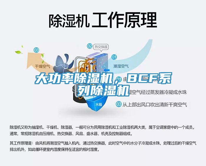 大功率除濕機(jī)，BCF系列除濕機(jī)