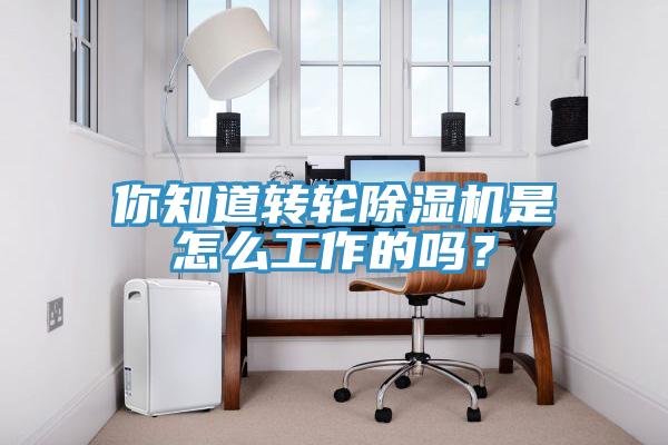 你知道轉(zhuǎn)輪除濕機(jī)是怎么工作的嗎？