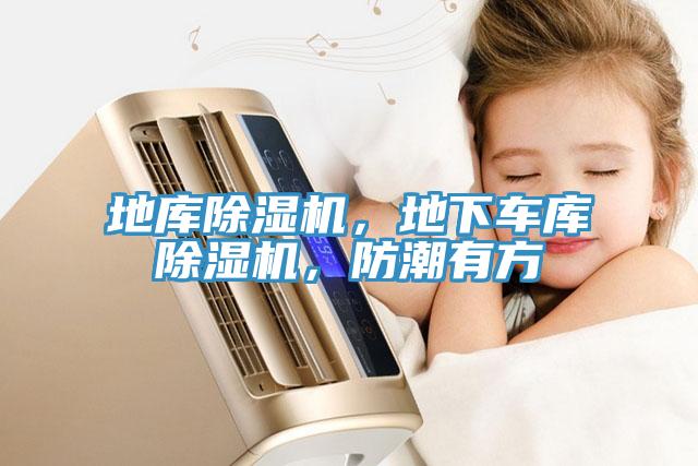 地庫(kù)除濕機(jī)，地下車庫(kù)除濕機(jī)，防潮有方