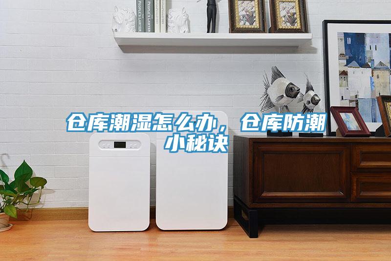 倉庫潮濕怎么辦，倉庫防潮小秘訣