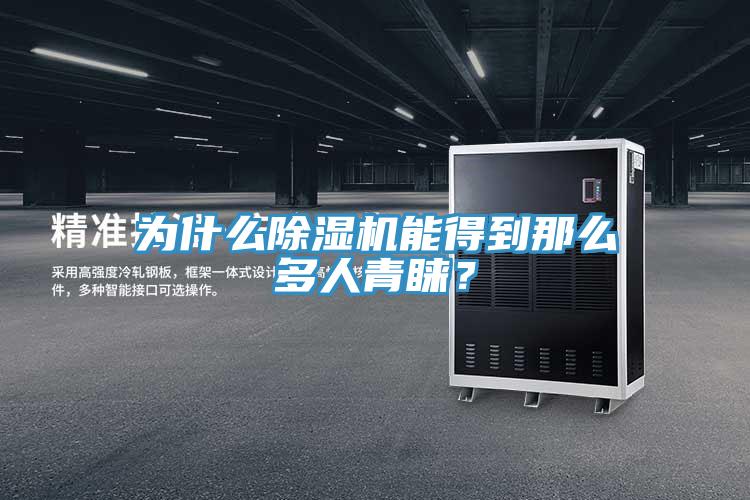 為什么除濕機(jī)能得到那么多人青睞？
