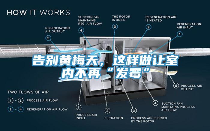 告別黃梅天，這樣做讓室內不再“發(fā)霉”