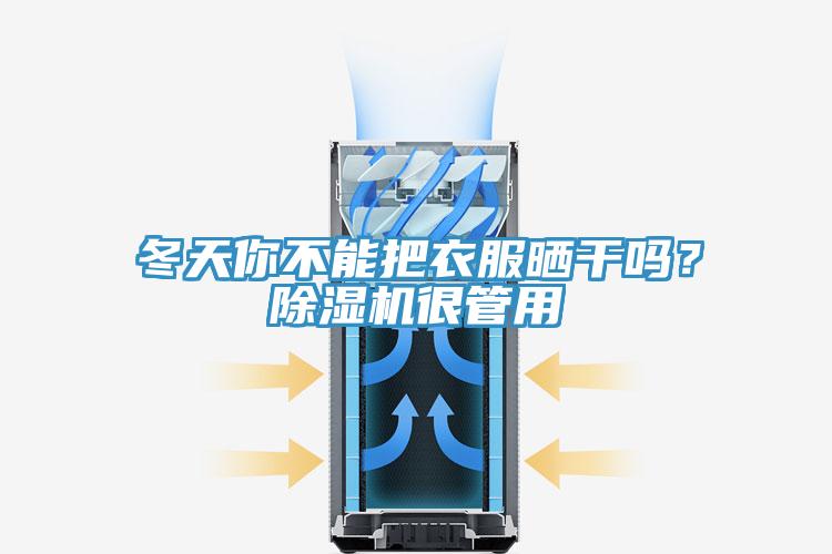 冬天你不能把衣服曬干嗎？除濕機(jī)很管用