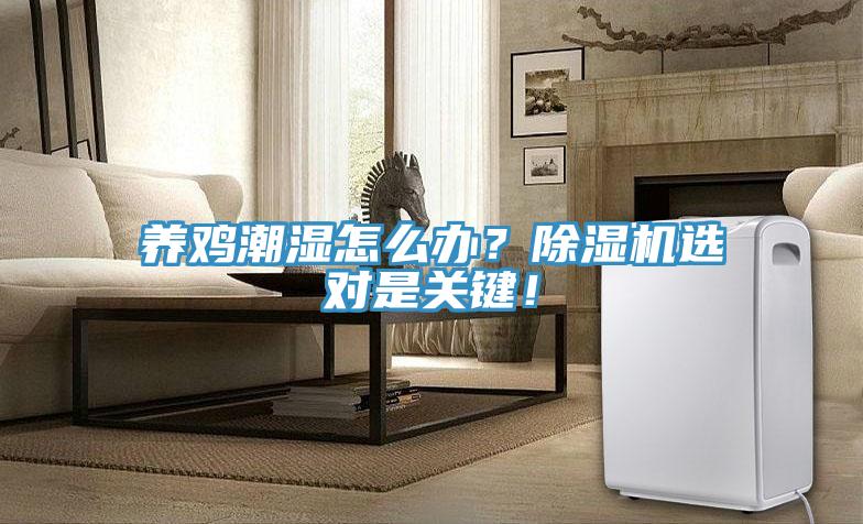 養(yǎng)雞潮濕怎么辦？除濕機選對是關鍵！