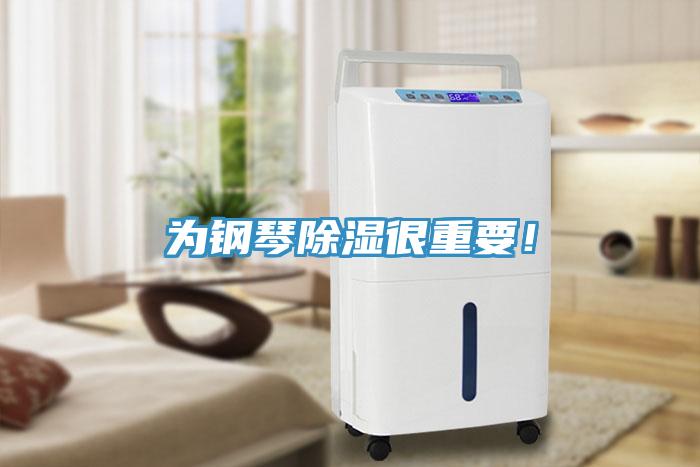 為鋼琴除濕很重要！