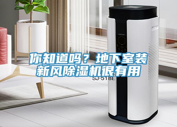你知道嗎？地下室裝新風(fēng)除濕機很有用