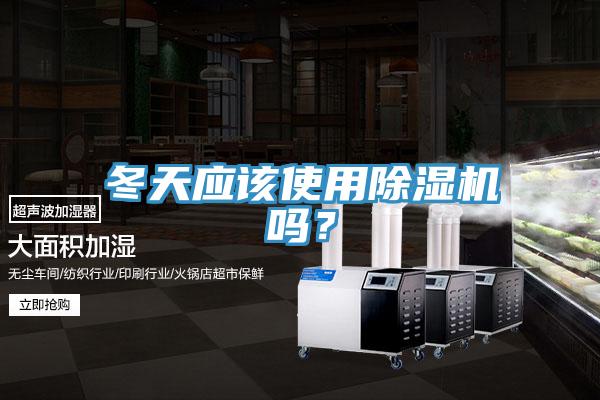 冬天應該使用除濕機嗎？