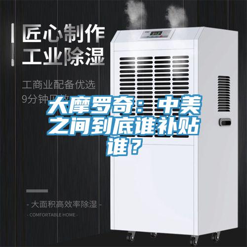 大摩羅奇：中美之間到底誰補貼誰？