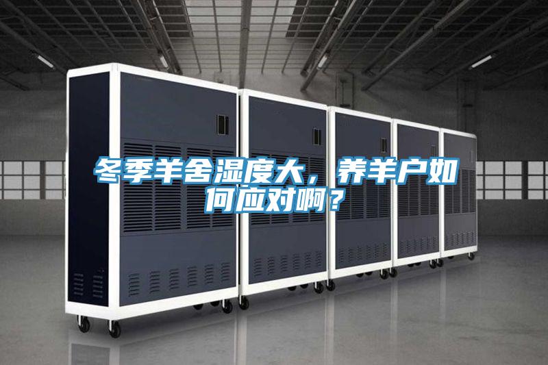 冬季羊舍濕度大，養(yǎng)羊戶如何應對??？