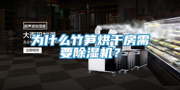 為什么竹筍烘干房需要除濕機(jī)？