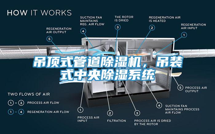 吊頂式管道除濕機，吊裝式中央除濕系統(tǒng)