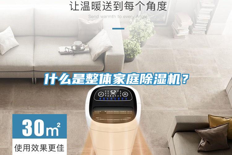 什么是整體家庭除濕機(jī)？