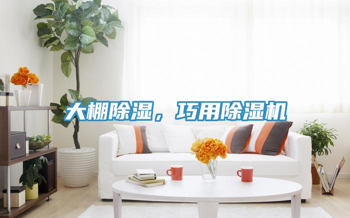 大棚除濕，巧用除濕機(jī)