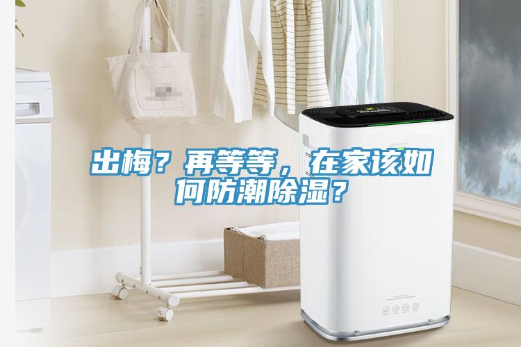 出梅？再等等，在家該如何防潮除濕？
