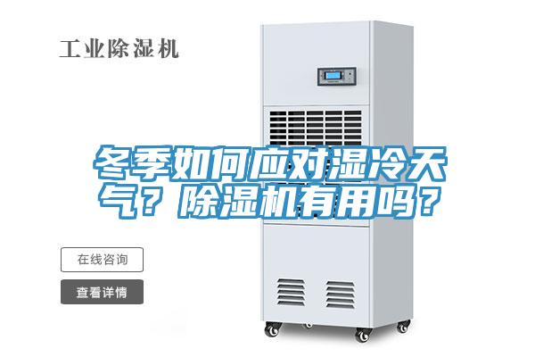冬季如何應對濕冷天氣？除濕機有用嗎？