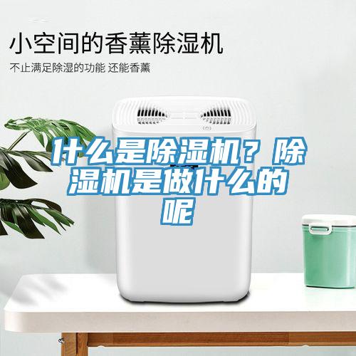 什么是除濕機？除濕機是做什么的呢