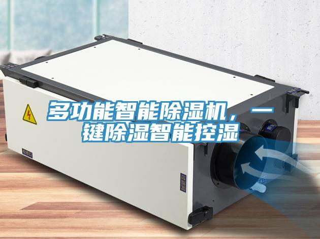 多功能智能除濕機，一鍵除濕智能控濕