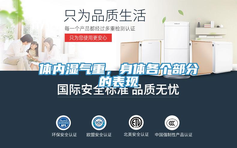 體內(nèi)濕氣重，身體各個部分的表現(xiàn)