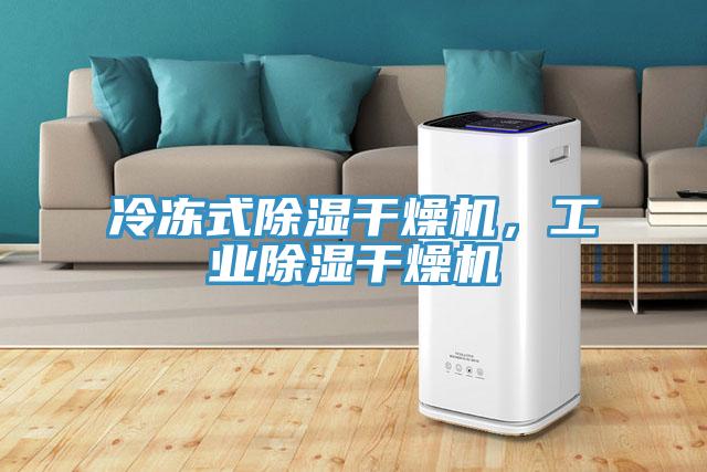 冷凍式除濕干燥機(jī)，工業(yè)除濕干燥機(jī)