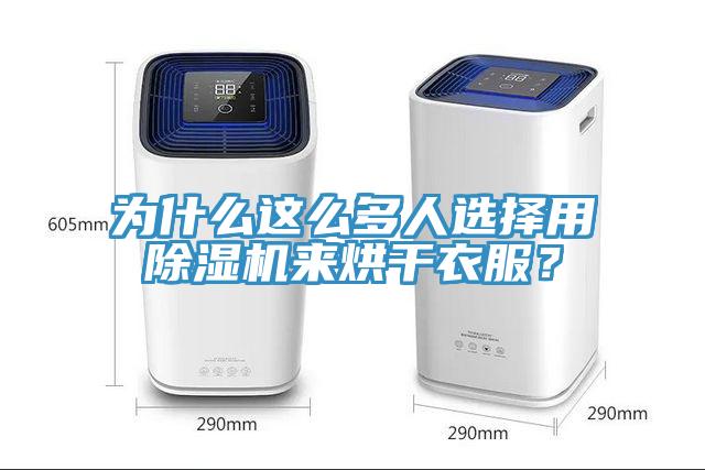 為什么這么多人選擇用除濕機來烘干衣服？