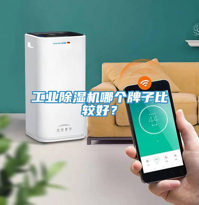 工業(yè)除濕機(jī)哪個(gè)牌子比較好？