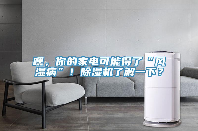 嘿，你的家電可能得了“風(fēng)濕病”！除濕機(jī)了解一下？