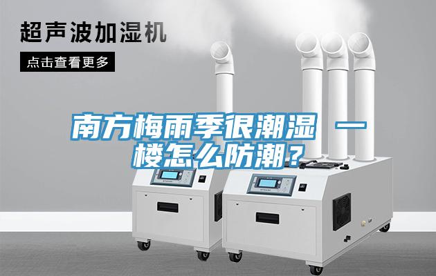 南方梅雨季很潮濕 一樓怎么防潮？