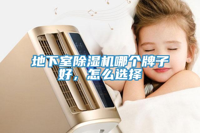 地下室除濕機哪個牌子好，怎么選擇
