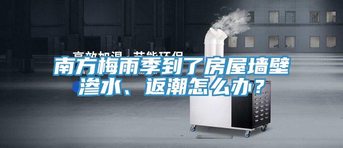 南方梅雨季到了房屋墻壁滲水、返潮怎么辦？
