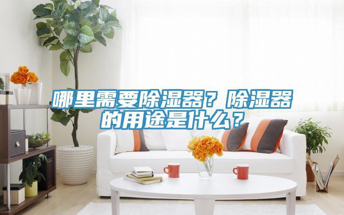 哪里需要除濕器？除濕器的用途是什么？