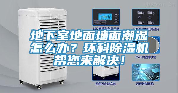 地下室地面墻面潮濕怎么辦？環(huán)科除濕機幫您來解決！