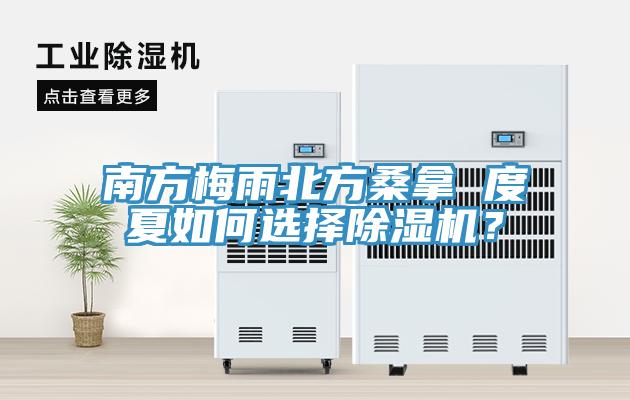 南方梅雨北方桑拿 度夏如何選擇除濕機(jī)？