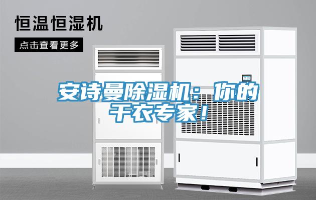 安詩(shī)曼除濕機(jī)：你的干衣專家！