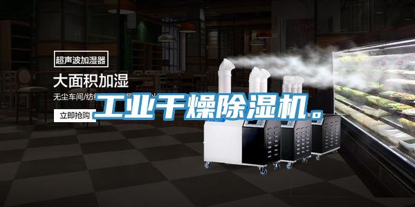 工業(yè)干燥除濕機。