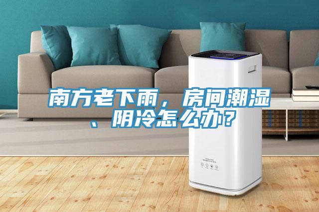 南方老下雨，房間潮濕、陰冷怎么辦？