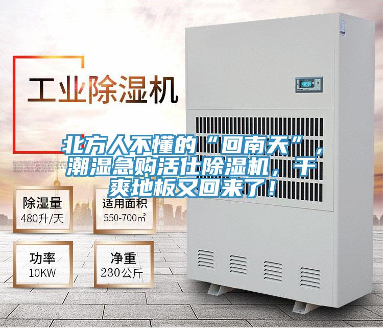 北方人不懂的“回南天”，潮濕急購活仕除濕機，干爽地板又回來了！