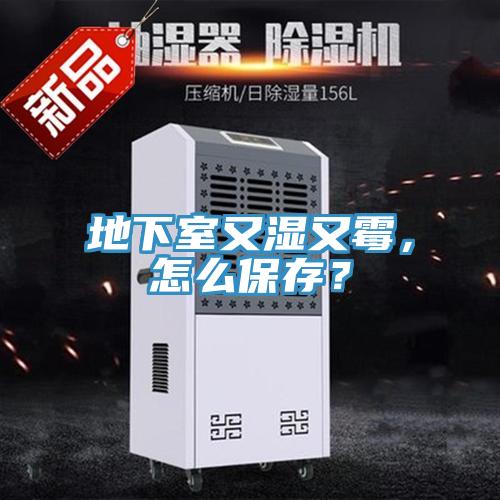地下室又濕又霉，怎么保存？