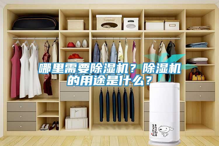 哪里需要除濕機(jī)？除濕機(jī)的用途是什么？