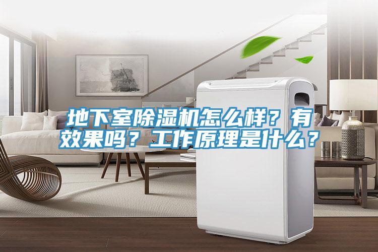地下室除濕機怎么樣？有效果嗎？工作原理是什么？