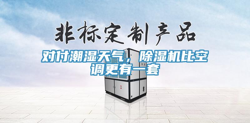 對(duì)付潮濕天氣，除濕機(jī)比空調(diào)更有一套
