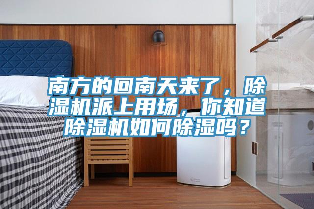 南方的回南天來(lái)了，除濕機(jī)派上用場(chǎng)，你知道除濕機(jī)如何除濕嗎？