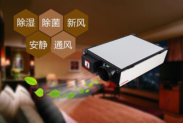 雙十一剛過，雙十二如約而至，濕冷還受得了嗎？