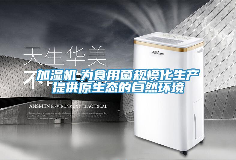 加濕機(jī)　為食用菌規(guī)?；a(chǎn)提供原生態(tài)的自然環(huán)境
