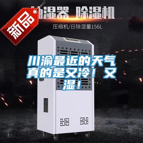 川渝最近的天氣真的是又冷！又濕！